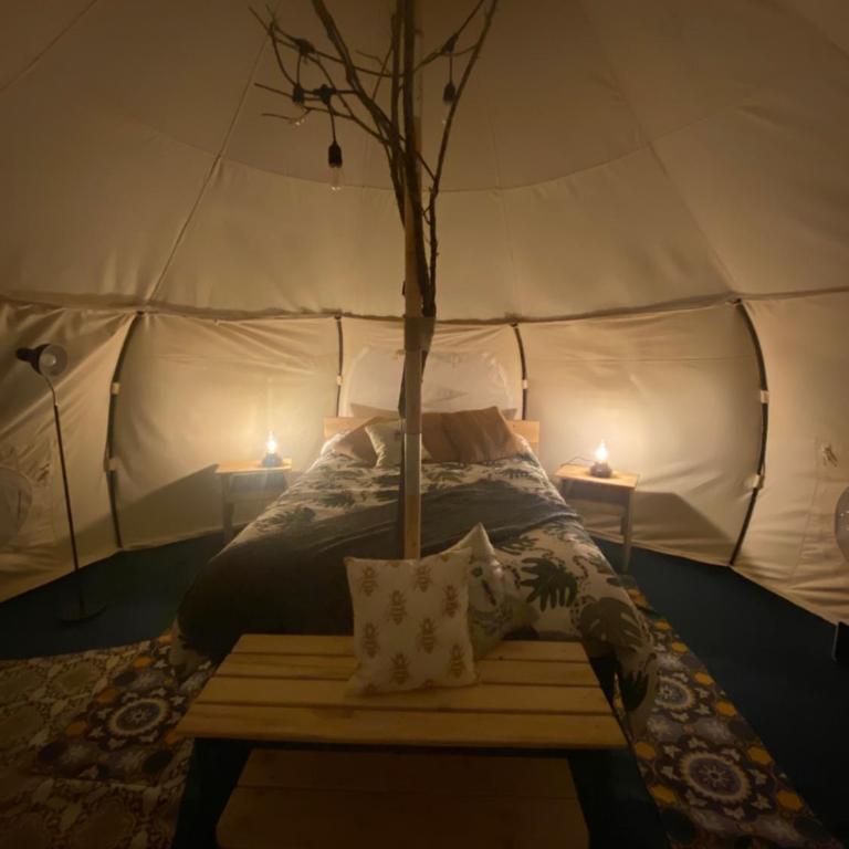 La Colmena Glamping - Tent - 11