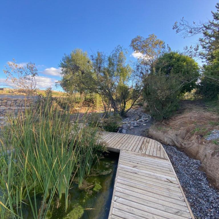 La Colmena Glamping - Tent - 13