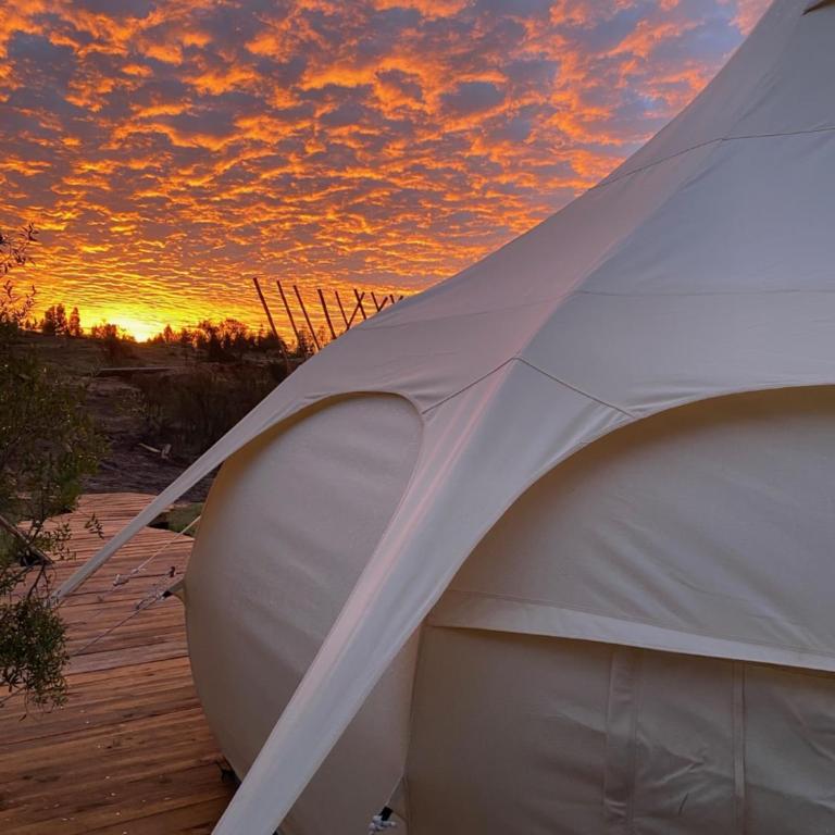 La Colmena Glamping - Tent - 16