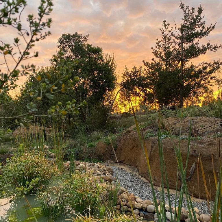 La Colmena Glamping - Tent - 17