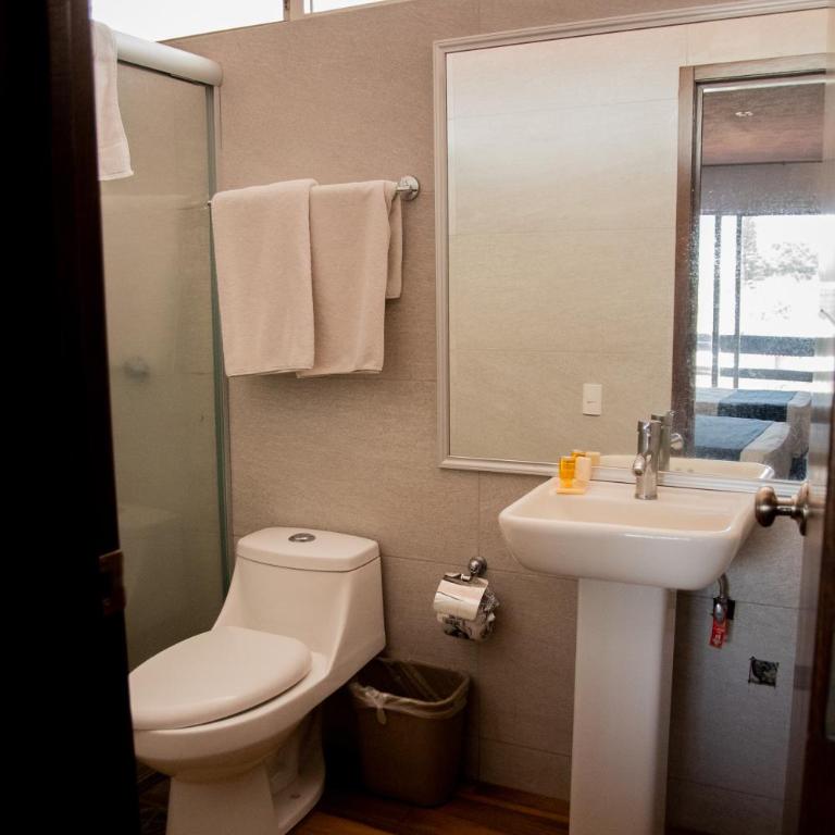 Hotel Expo Plaza Business and Family Guadalajara - Double Room with Two Double Beds - 5