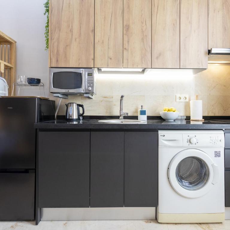 -MalagaSunApts-Cool Center Pena 12 - Estudio - 11