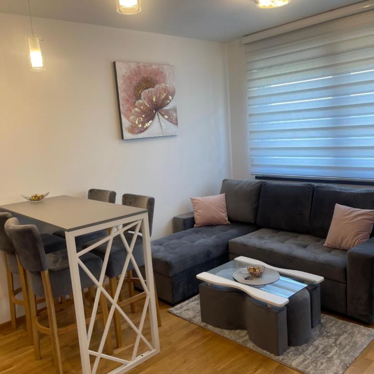 Apartman Minja Zlatibor - Apartman sa 1 Spavaćom Sobom - 15