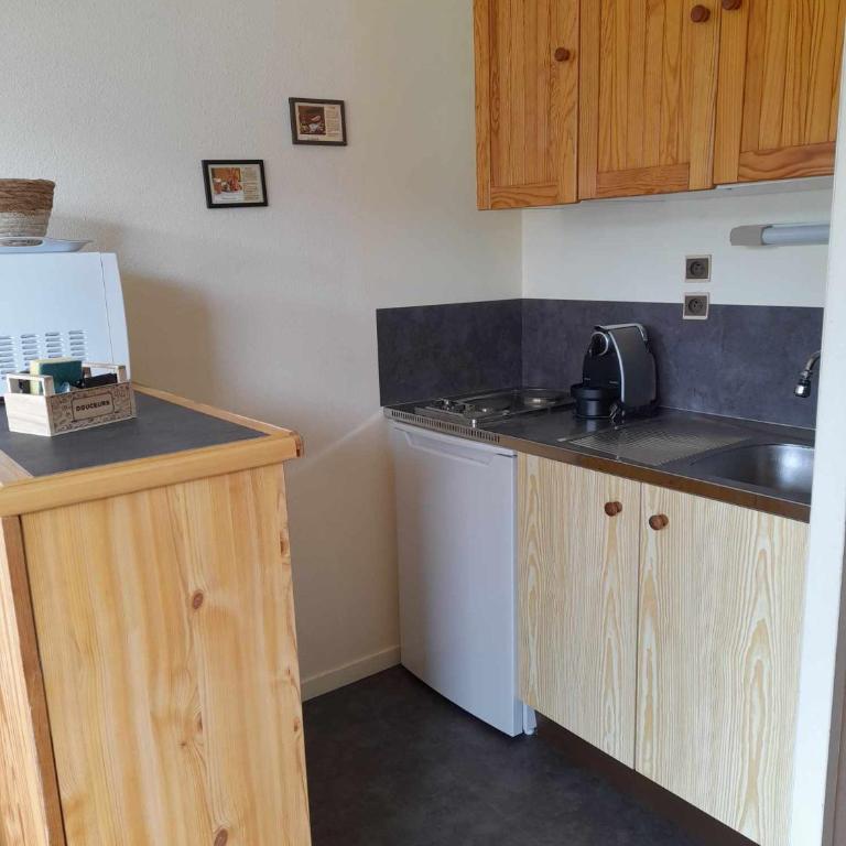 LES DRYADES Vue montagne - Studio Familial - 5