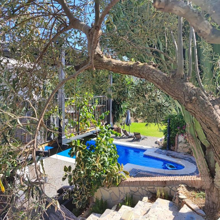 Studio Views Apartment, Cortijo Fruitful Hills - Apartamento de 1 dormitorio - 1