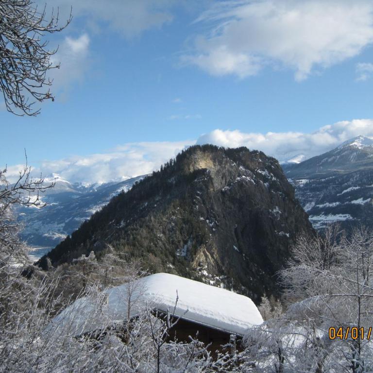 Charmant chalet familial ancien - Chalet - 55