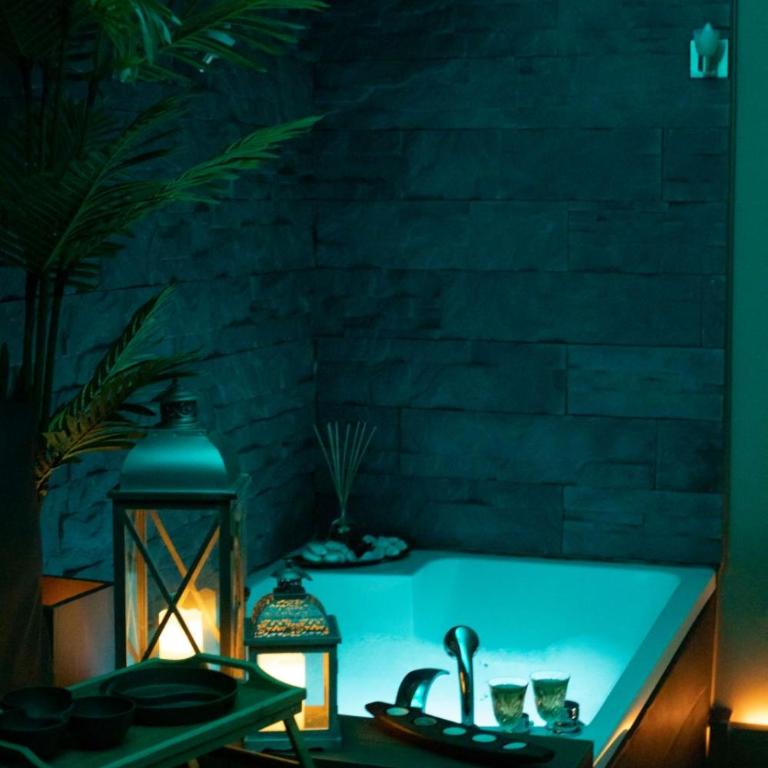 Reina Spa - Apartman sa 1 Spavaćom Sobom - 3