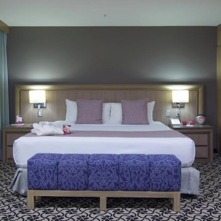 Crowne Plaza Hotel Mexico City North-Tlalnepantla by IHG - Suite Junior con cama extragrande - 6