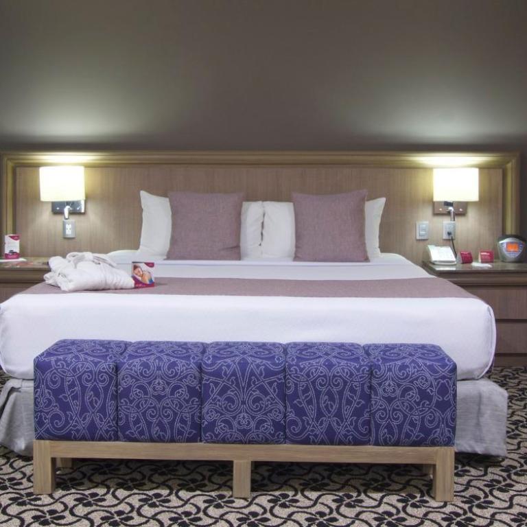 Crowne Plaza Hotel Mexico City North-Tlalnepantla by IHG - Suite Junior con cama extragrande - 8