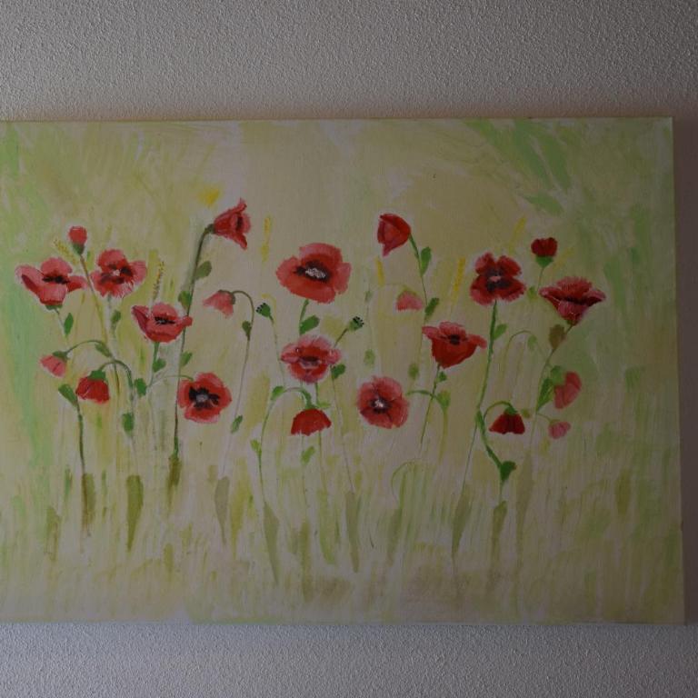 Bauernhof Dieing - Apartamento de 1 dormitorio - 20