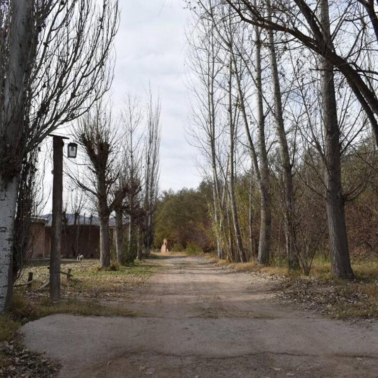 Cabaña Finca el Oasis en Jáchal, San Juan - Casa de 2 dormitorios - 13