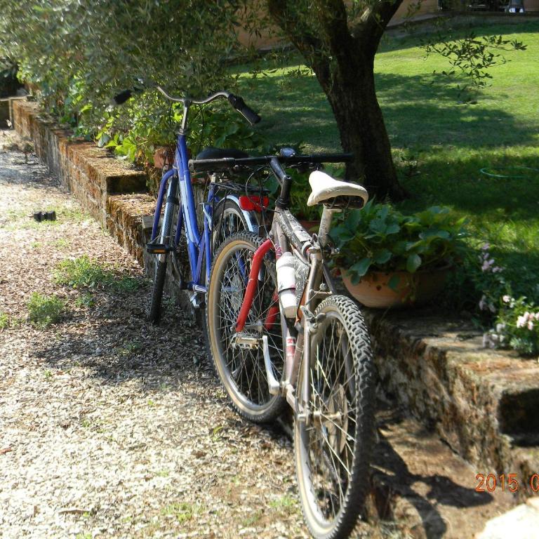 Casa Vacanza Malescale - Monolocale (2 Adulti) - 3