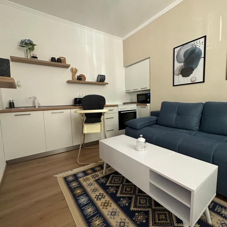 BLUE APARTMENT MOSTAR - One-Bedroom Apartment - 7