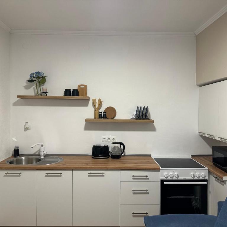BLUE APARTMENT MOSTAR - One-Bedroom Apartment - 11