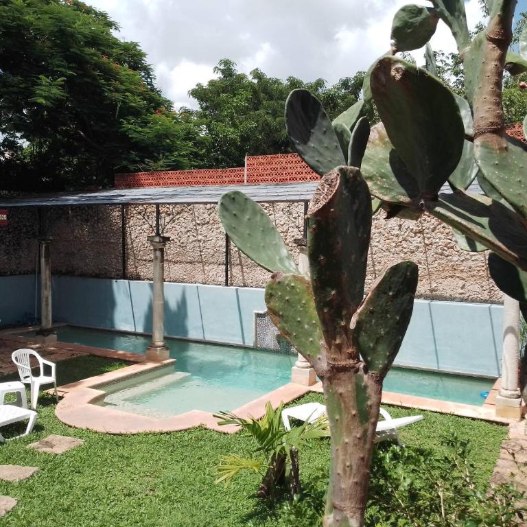 Casa Hacienda Itzimna - Casa de 5 dormitorios - 4
