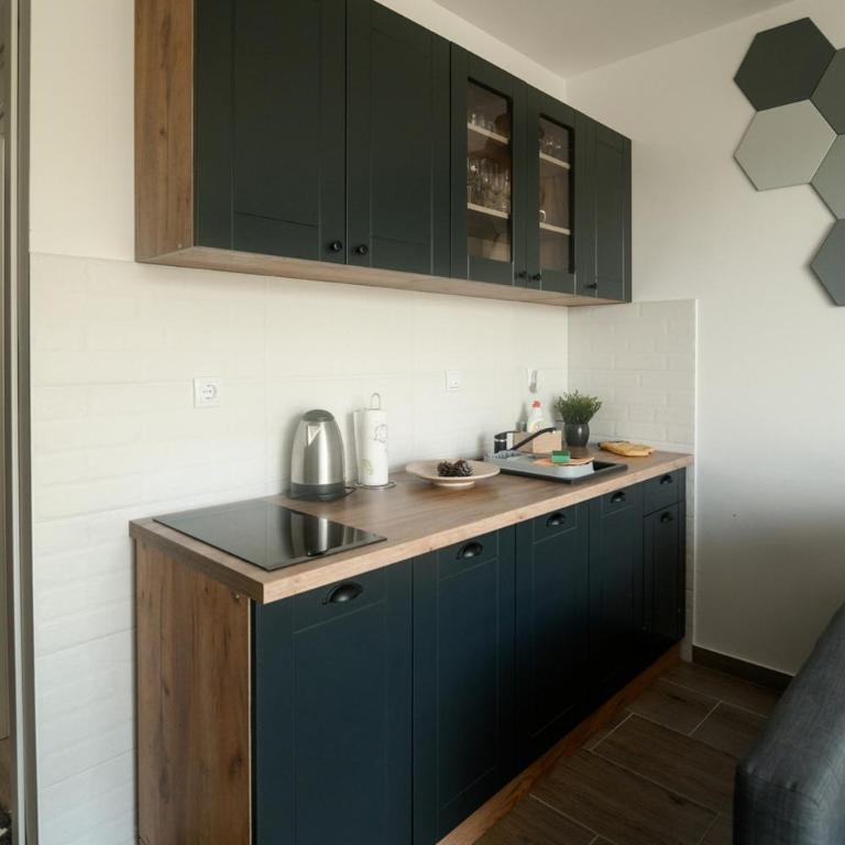 Studio Merdzan - Apartman sa 1 Spavaćom Sobom - 17