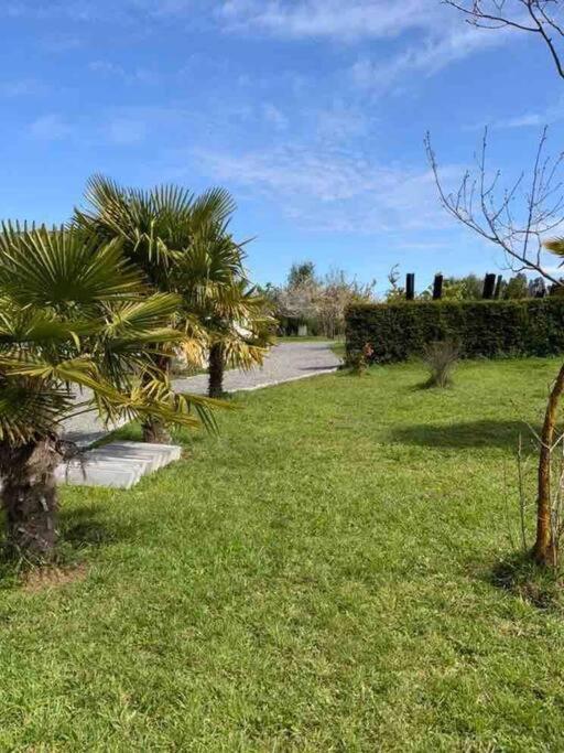 Linda y cómoda cabaña en un entorno natural - Casa con 1 dormitorio - 10