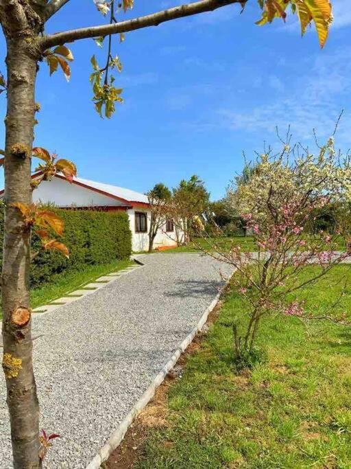 Linda y cómoda cabaña en un entorno natural - Casa con 1 dormitorio - 14