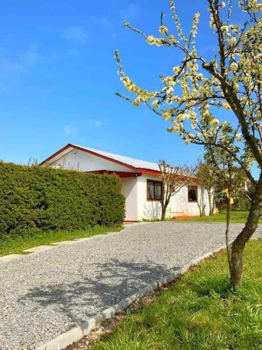 Linda y cómoda cabaña en un entorno natural - Casa con 1 dormitorio - 19