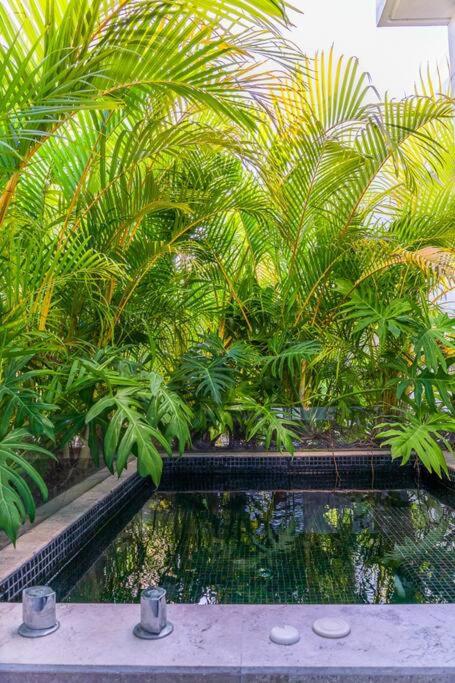 Come and Relax in the jungle of Tulum 3001 - Apartamento de 1 dormitorio - 24