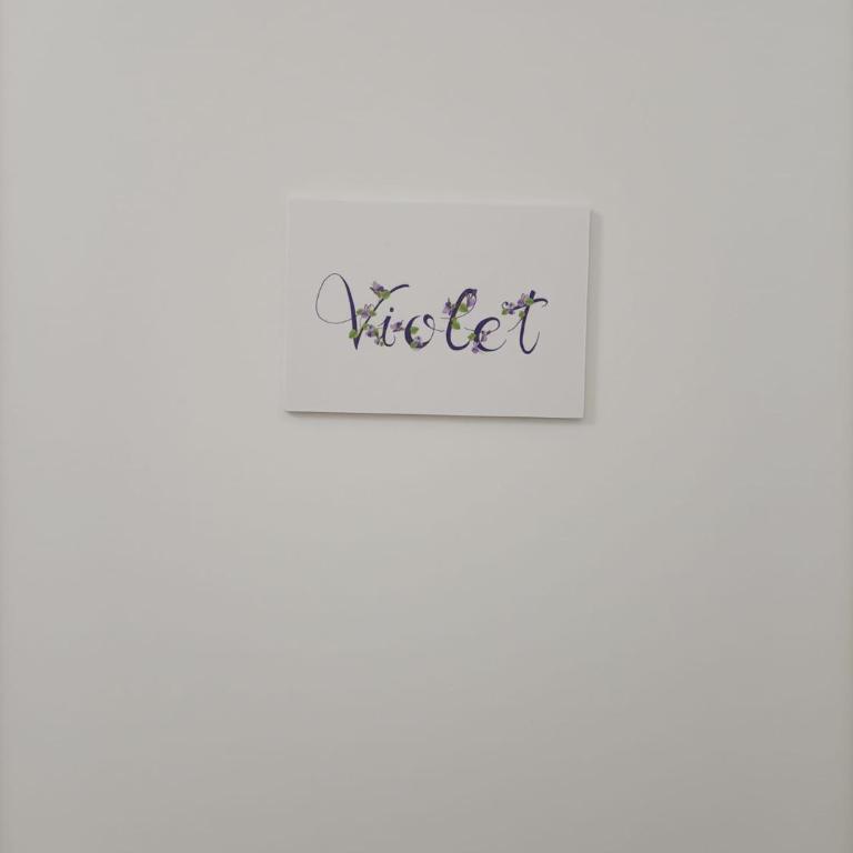 Appartamento Violet - Parma - Appartamento con 2 Camere da Letto - 35