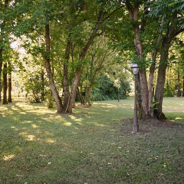 La casetta nel bosco - Casa Vacanze - 7