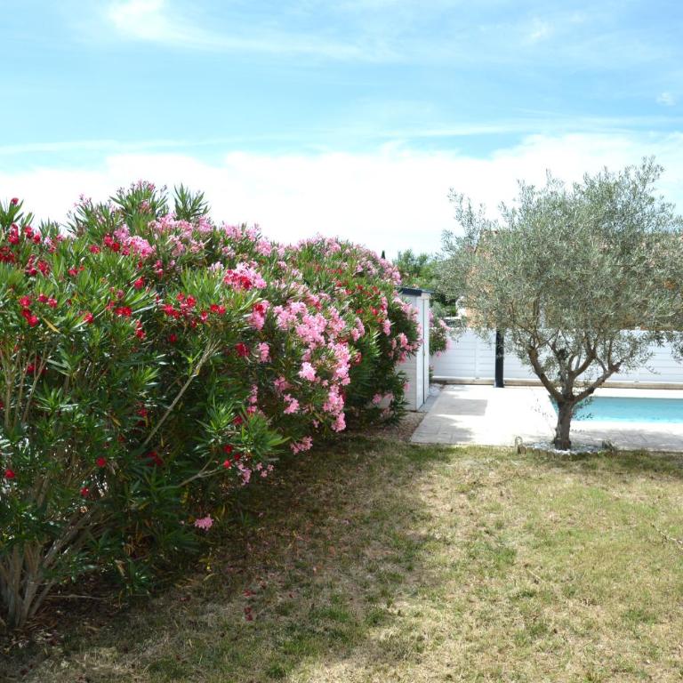 MAISON 6p, 3ch, piscine privée de juin à septembre, terrain clos, pétanque - Villa 3 Chambres - 12