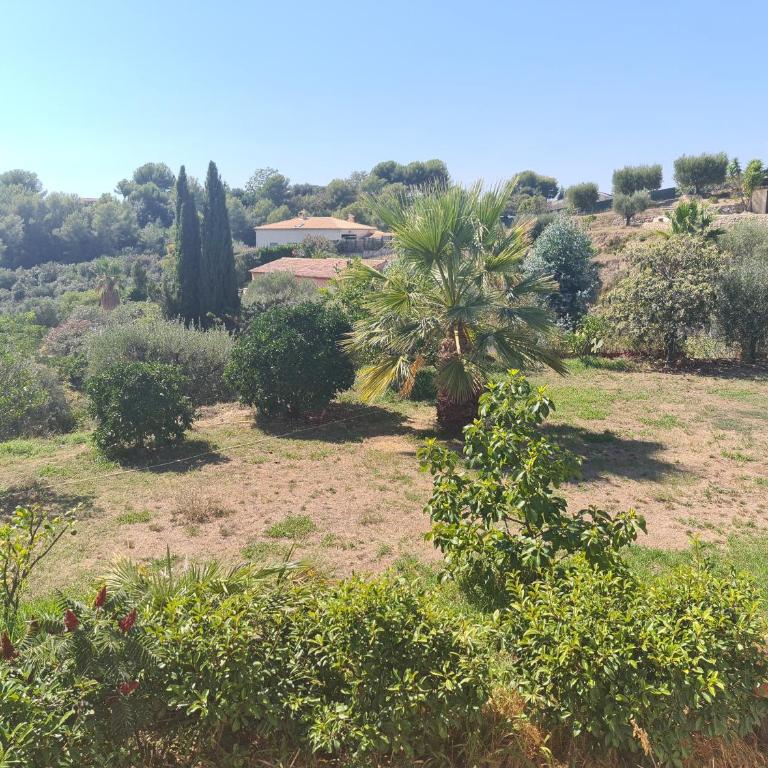 Appartement Alpes Maritimes - Appartement - Vue sur Jardin - 13