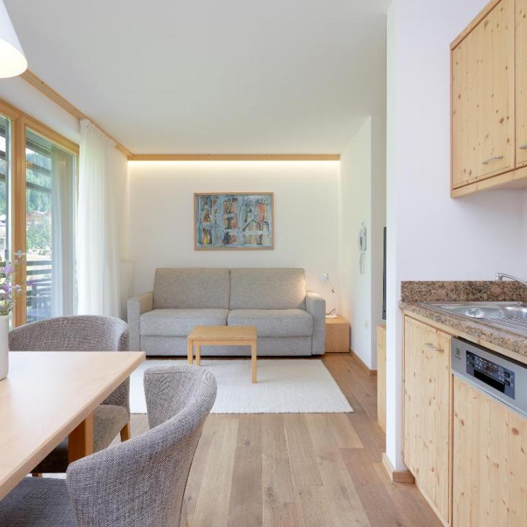 Saleghes Dolomites Residence - Appartamento Superior con 1 Camera da Letto con balcone o giardino - 4