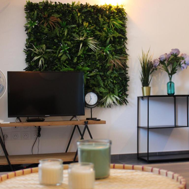 Jungle Suite - Moderne & Spacieux - Appartamento con 1 Camera da Letto - 8