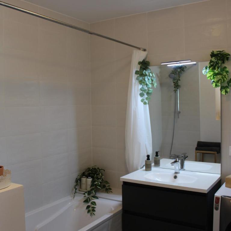 Jungle Suite - Moderne & Spacieux - Appartamento con 1 Camera da Letto - 12