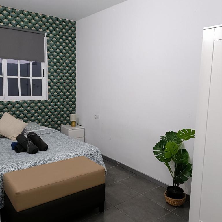La casita de Aitor; campo y playa en el Médano - Casa de 2 dormitorios - 20