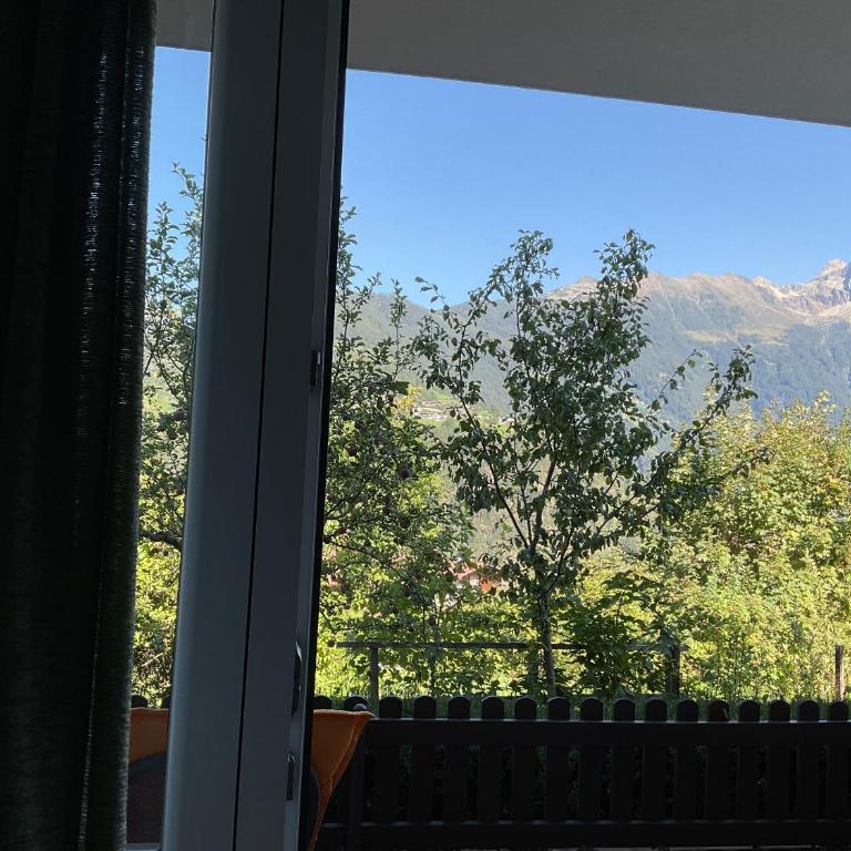 Comfortable apartment in a beautiful surrounding - Apartment mit 2 Schlafzimmern - 53