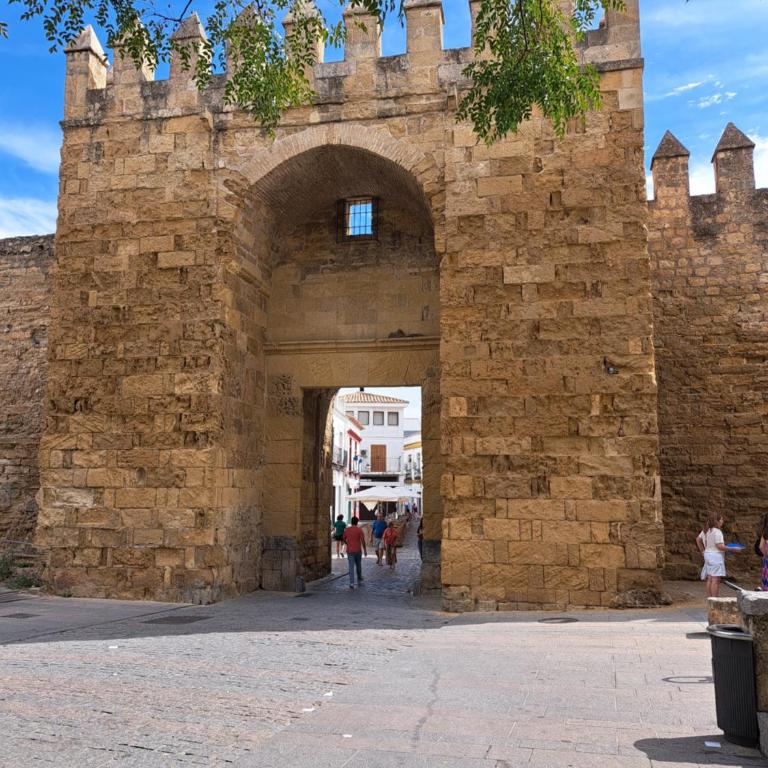 Apartamento la Marquesa - Apartamento de 3 dormitorios - 30