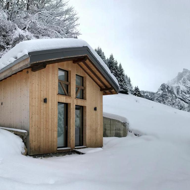 Chalet*** au pied d'une prairie face à la montagne - Chalet 3 Chambres - 1