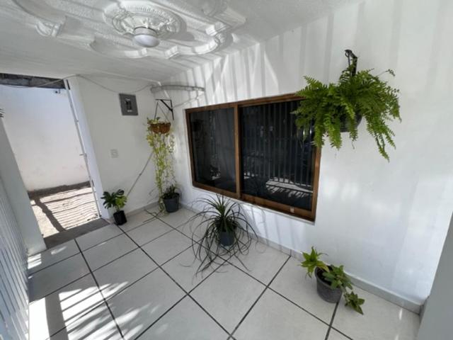 Dpto CASA BRISA! a 600 metros de Playa&Malecon! Alberca! - Two-Bedroom Suite - 23