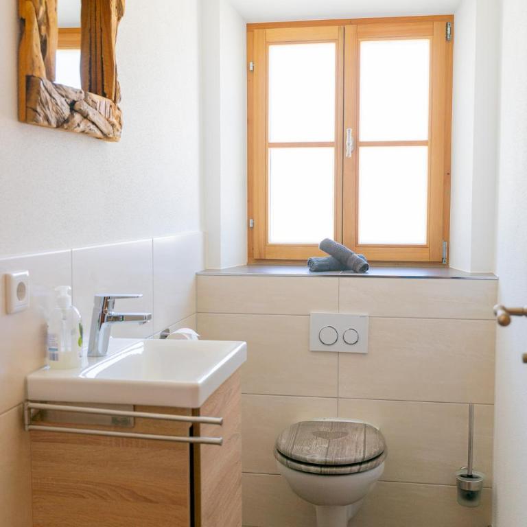 Ferienwohnungen Heillinger Gütl inkl. Chiemgaukarte - Standard Apartment - 9