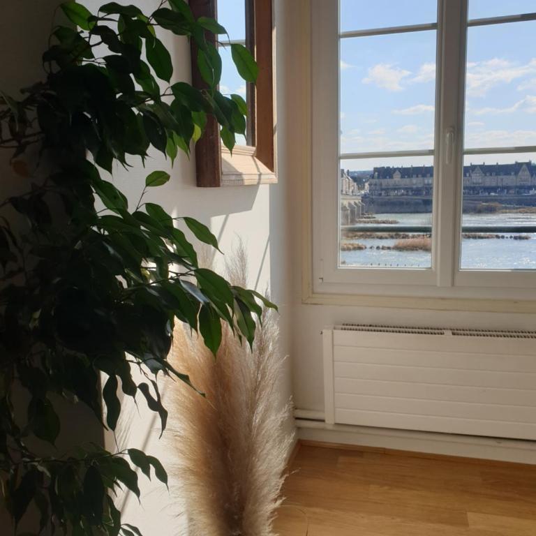 Vue imprenable sur la Loire - Centre historique de Blois - 116m2 - Appartamento con 3 Camere da Letto - 32