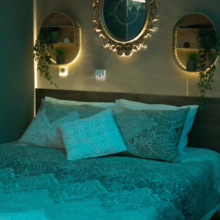 Reina Spa - Apartman sa 1 Spavaćom Sobom - 4