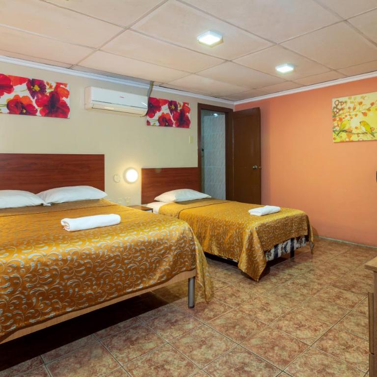 Hotel Malecon Inn - Habitación Doble - 1 o 2 camas - 2