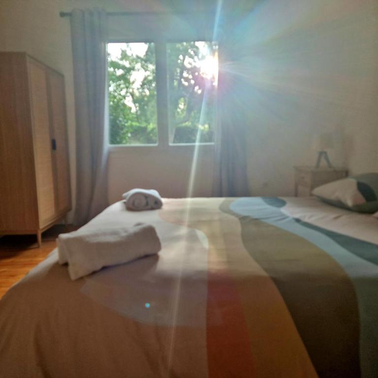 Villa Elizalde Moliets - climatisée, piscine chauffée, vélos et surfs inclus - Villa - 22