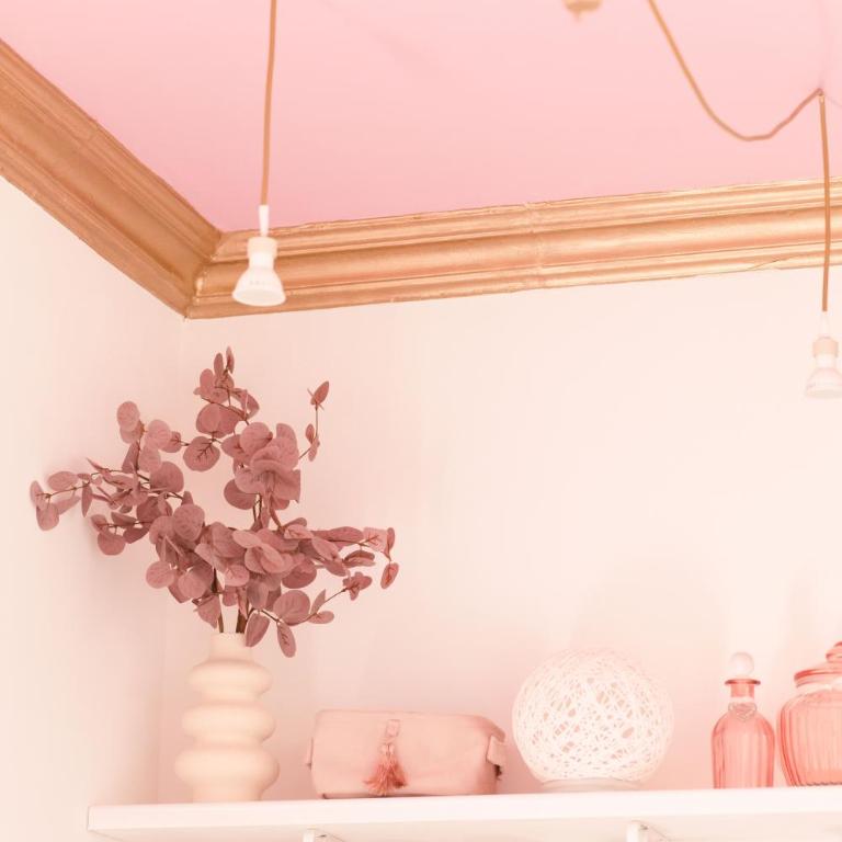 Reina Spa - Apartman sa 1 Spavaćom Sobom - 25