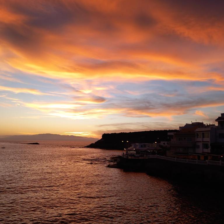 Apto. PIÑA DE MAR - Apartamento de 1 dormitorio - 36