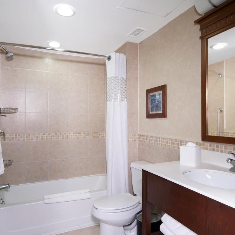 Hampton Inn & Suites Mexico City - Centro Historico - Suite Doble no fumadores (con sofá cama) - 4
