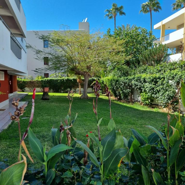 Apartment with sea view close to dunes of playa del ingles - One-Bedroom Apartment - 18