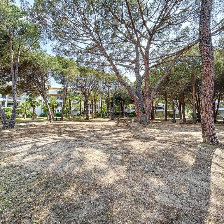 T2 dans résidence avec piscine - Appartement 1 Chambre - 9