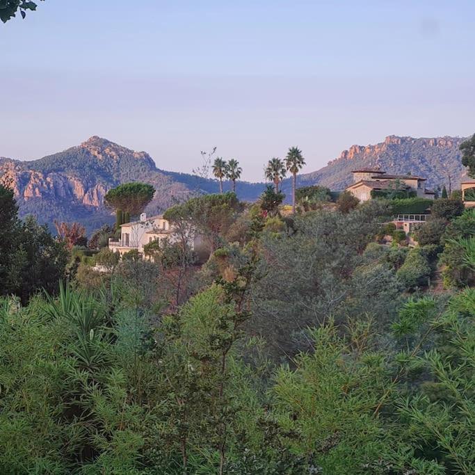 Villa Bella Mimosa - SPA privatif - Maison 2 Chambres - 2