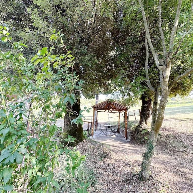 Casale di Valle Mora - Two-Bedroom Apartment - 27