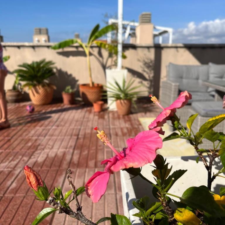La azotea - Two-Bedroom Apartment - 5