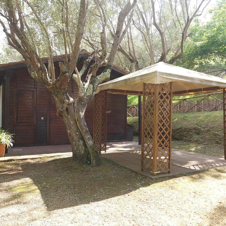 CHALET con spiaggia privata - Chalet - 7